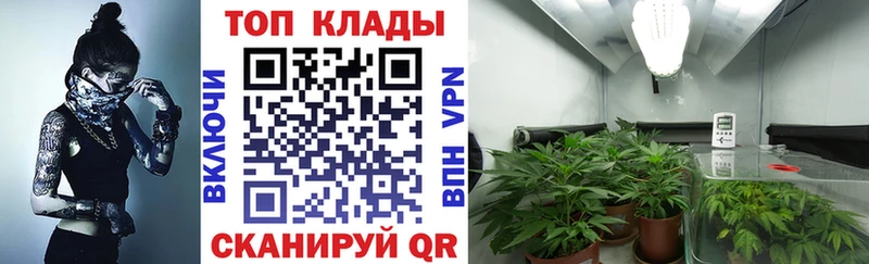 Наркошоп купить ГАШИШ  Галлюциногенные грибы  Меф мяу мяу  Марихуана  Кокаин  APVP  Борзя