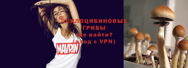 бошки Алзамай
