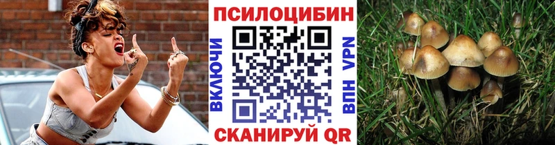 Псилоцибиновые грибы GOLDEN TEACHER  Купить  Борзя 