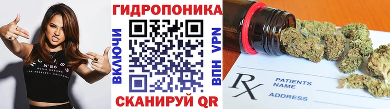 Купить закладки  Борзя  Конопля White Widow 